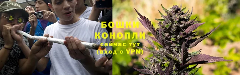 Бошки марихуана THC 21%  Собинка 